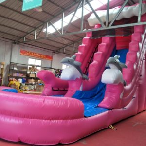 Pink Dolphin – Waterslide